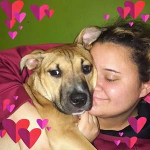 Meet your Posher, Valentina